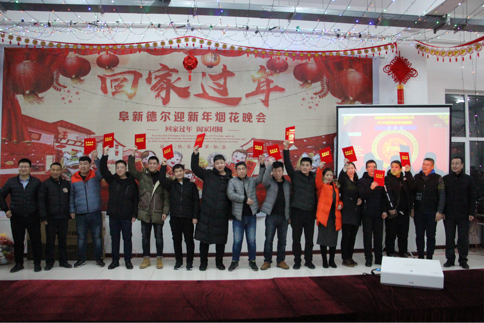 喜迎新春——暨阜新九游会2019除夕烟花晚会(图4)